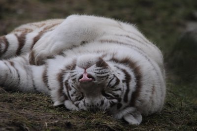 On joue _4298465701_l.jpg